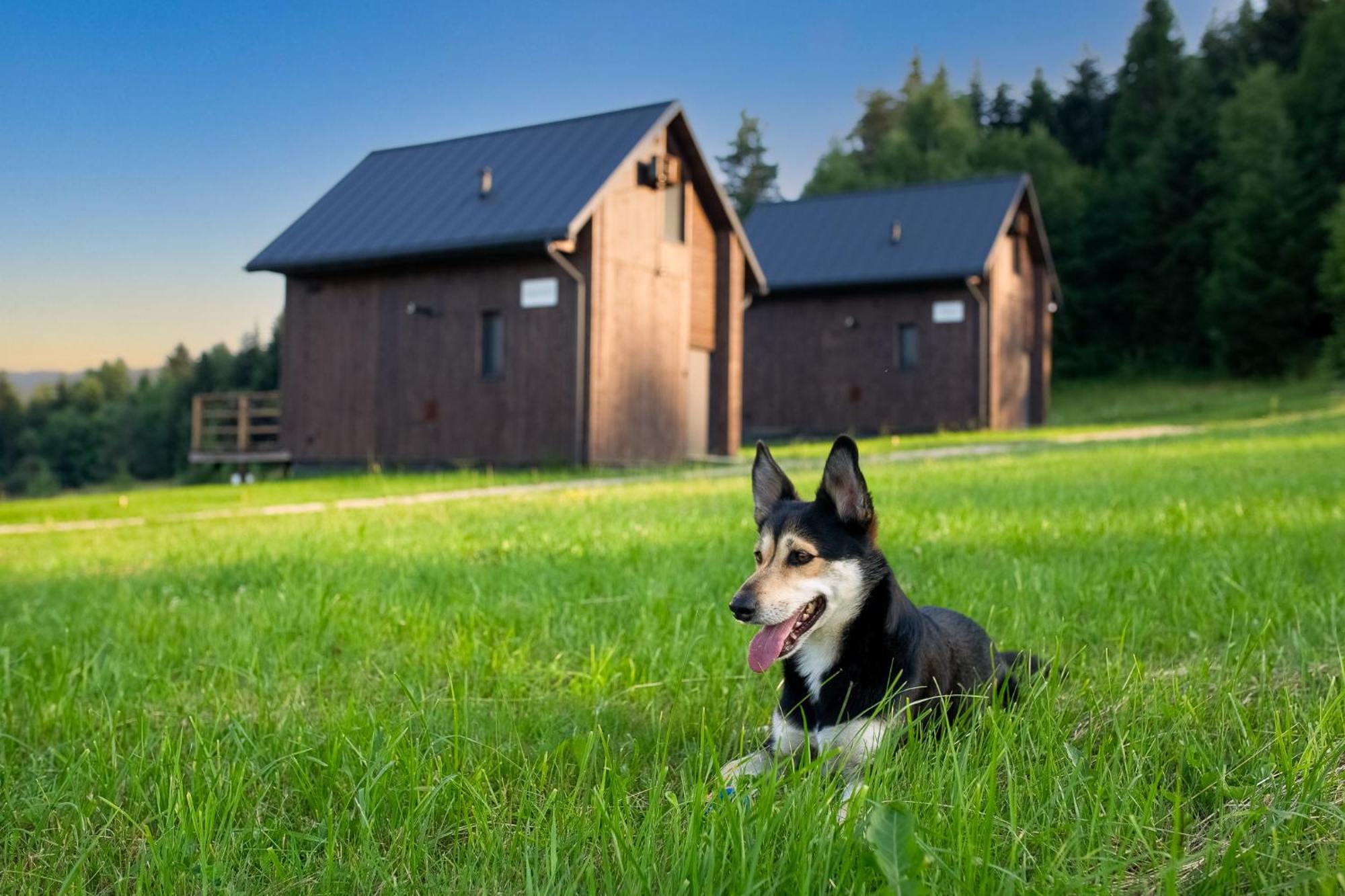 Polana Piorun Domki Wakacyjne W Beskidach Krynica-Zdrój Exterior foto