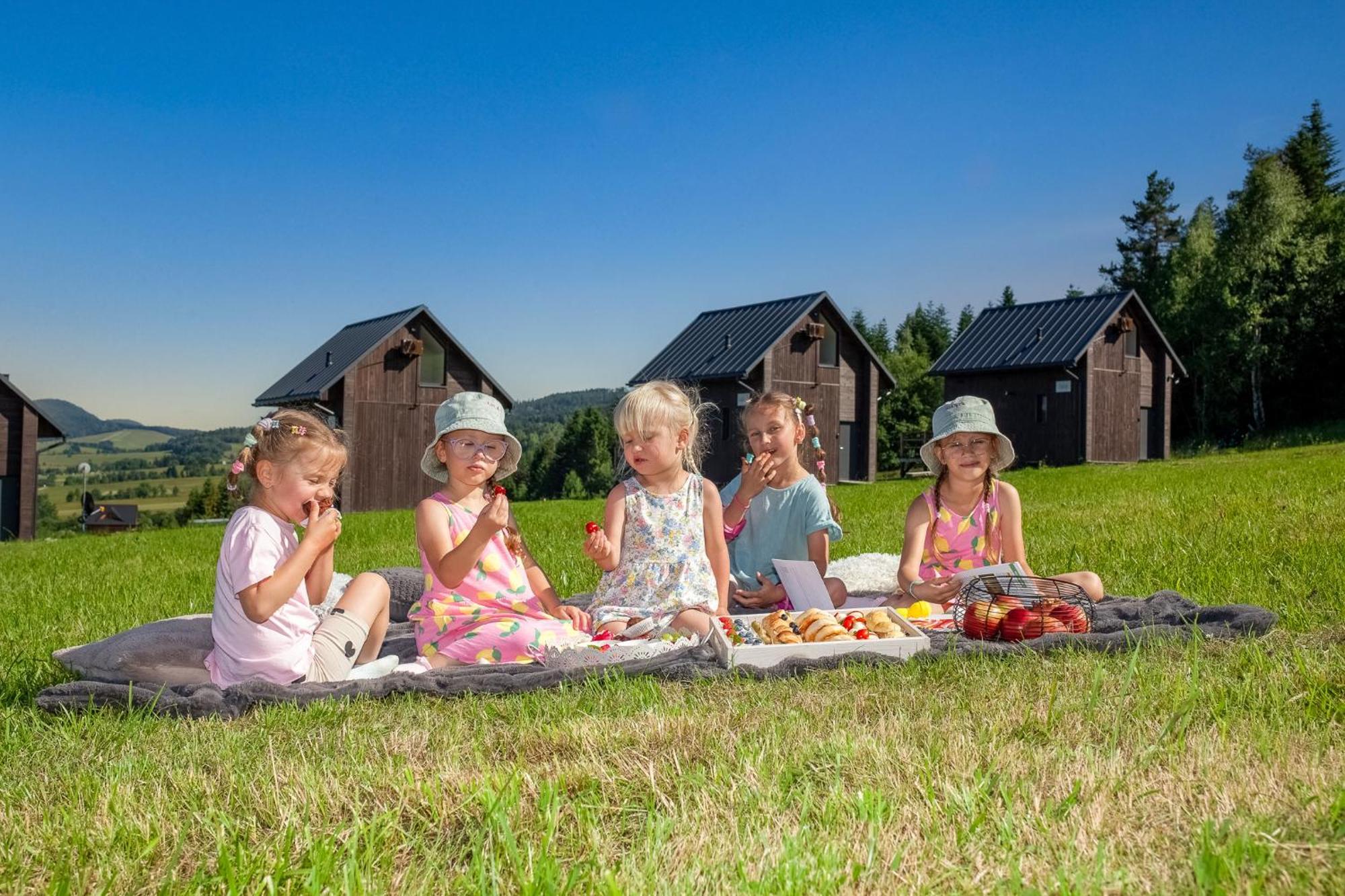 Polana Piorun Domki Wakacyjne W Beskidach Krynica-Zdrój Exterior foto
