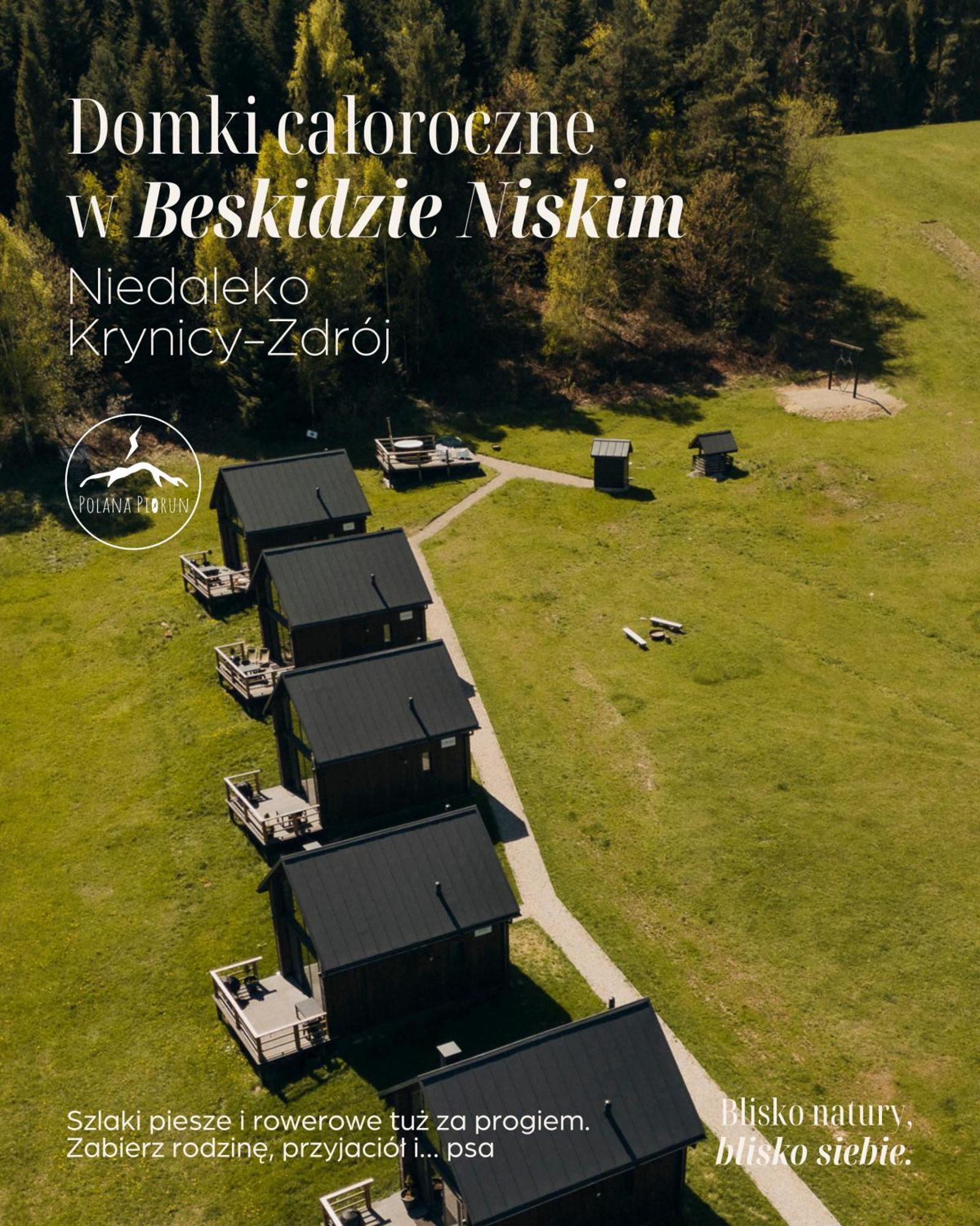 Polana Piorun Domki Wakacyjne W Beskidach Krynica-Zdrój Exterior foto